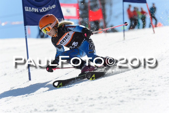 Ziener Cup WF,Finale, Quali + PSL, 30.03.2019