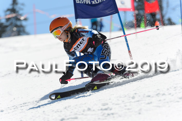 Ziener Cup WF,Finale, Quali + PSL, 30.03.2019