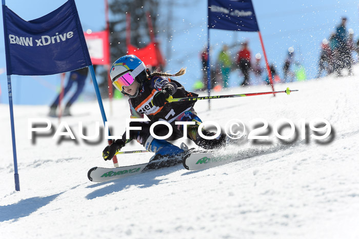Ziener Cup WF,Finale, Quali + PSL, 30.03.2019