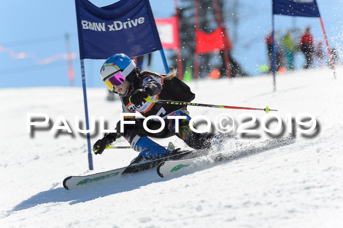 Ziener Cup WF,Finale, Quali + PSL, 30.03.2019