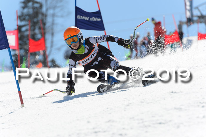 Ziener Cup WF,Finale, Quali + PSL, 30.03.2019