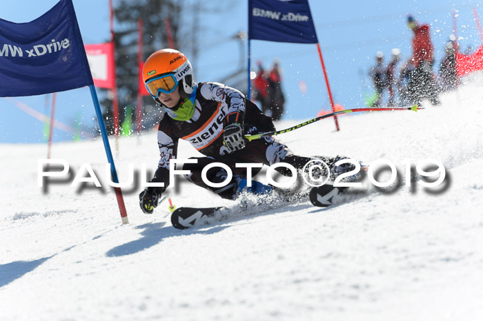 Ziener Cup WF,Finale, Quali + PSL, 30.03.2019
