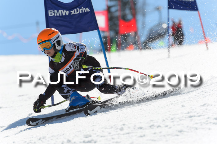 Ziener Cup WF,Finale, Quali + PSL, 30.03.2019