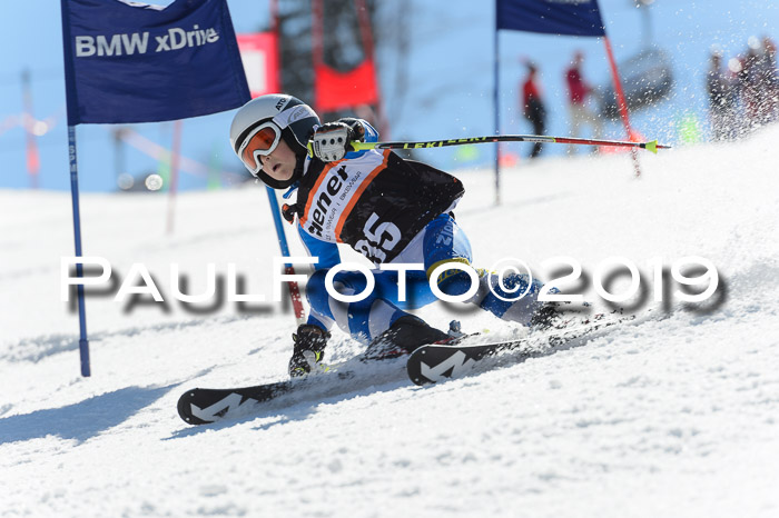 Ziener Cup WF,Finale, Quali + PSL, 30.03.2019