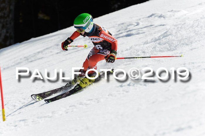 Ziener Cup WF,Finale, Quali + PSL, 30.03.2019