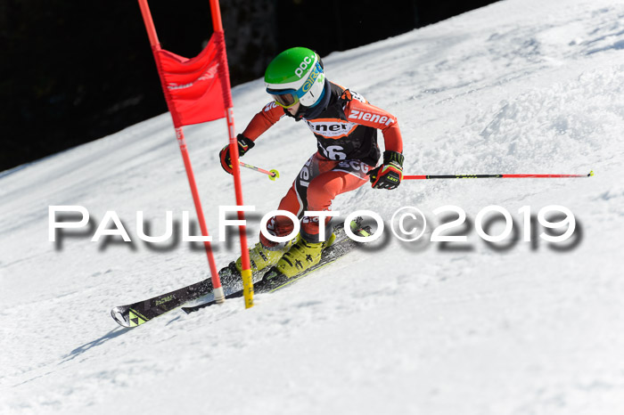 Ziener Cup WF,Finale, Quali + PSL, 30.03.2019