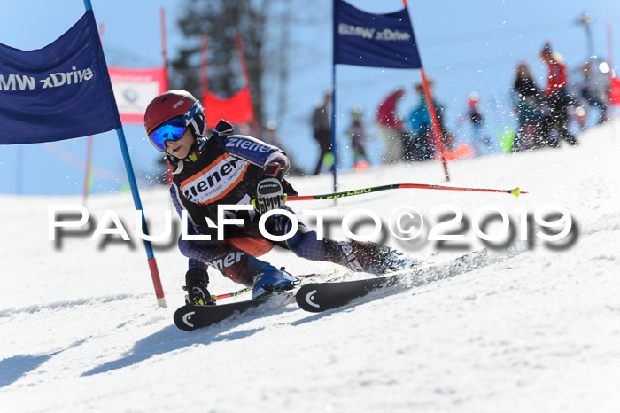 Ziener Cup WF,Finale, Quali + PSL, 30.03.2019