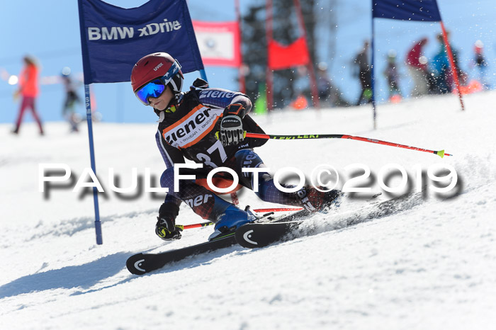Ziener Cup WF,Finale, Quali + PSL, 30.03.2019