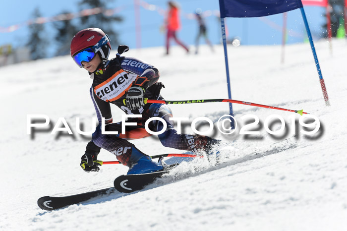 Ziener Cup WF,Finale, Quali + PSL, 30.03.2019
