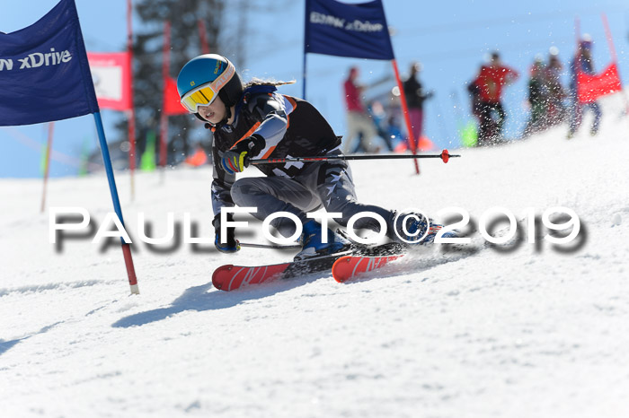 Ziener Cup WF,Finale, Quali + PSL, 30.03.2019