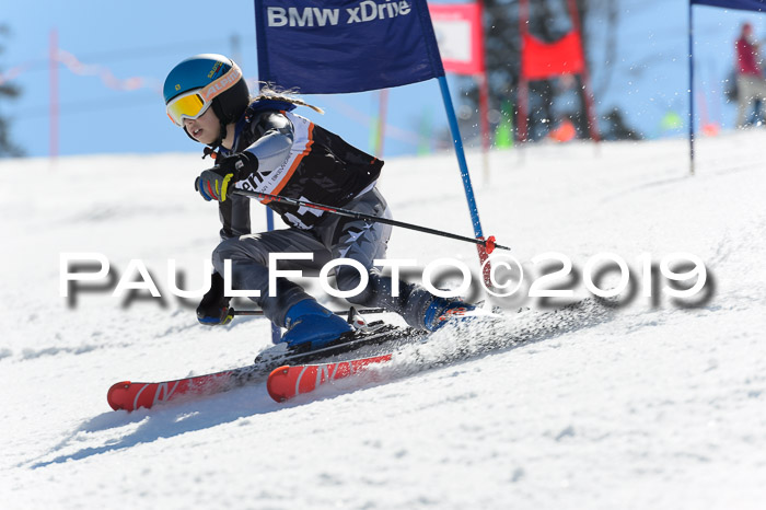 Ziener Cup WF,Finale, Quali + PSL, 30.03.2019