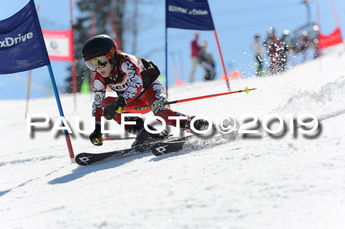 Ziener Cup WF,Finale, Quali + PSL, 30.03.2019