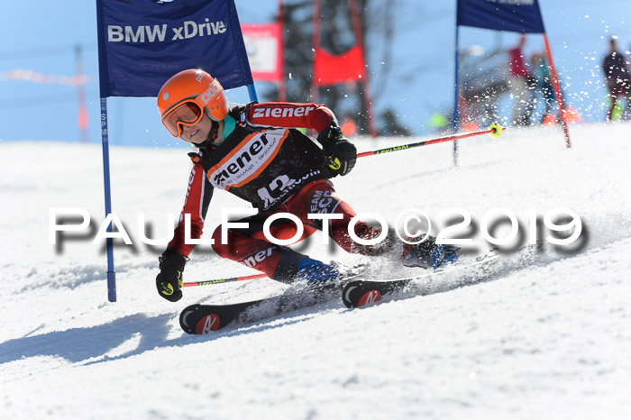 Ziener Cup WF,Finale, Quali + PSL, 30.03.2019