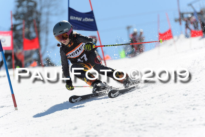 Ziener Cup WF,Finale, Quali + PSL, 30.03.2019