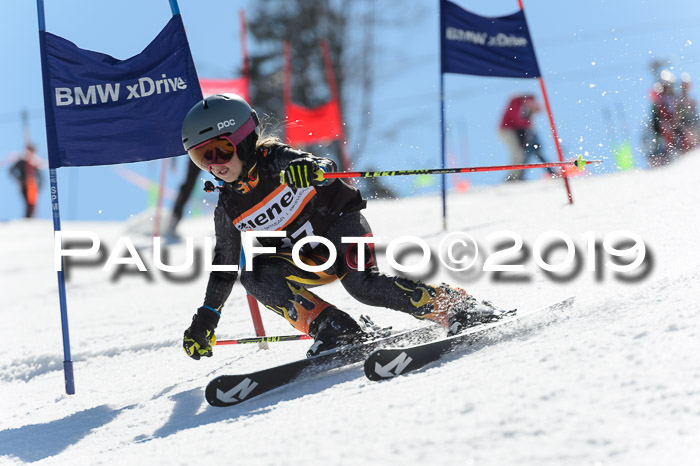 Ziener Cup WF,Finale, Quali + PSL, 30.03.2019