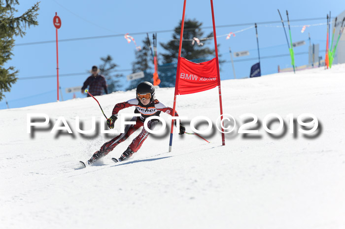 Ziener Cup WF,Finale, Quali + PSL, 30.03.2019