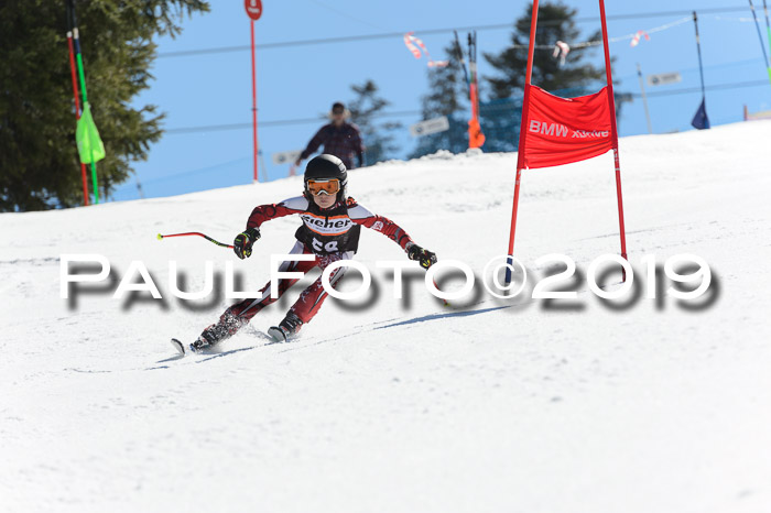 Ziener Cup WF,Finale, Quali + PSL, 30.03.2019