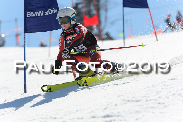 Ziener Cup WF,Finale, Quali + PSL, 30.03.2019