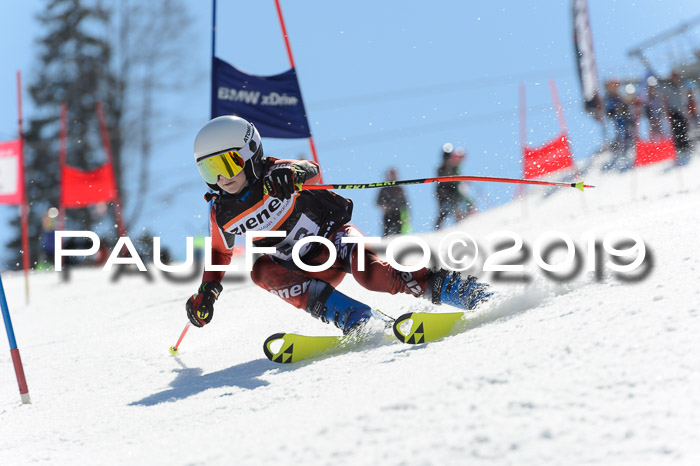 Ziener Cup WF,Finale, Quali + PSL, 30.03.2019