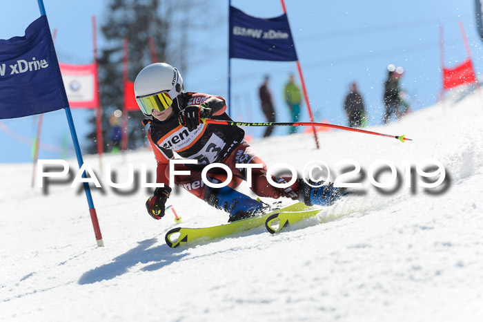 Ziener Cup WF,Finale, Quali + PSL, 30.03.2019