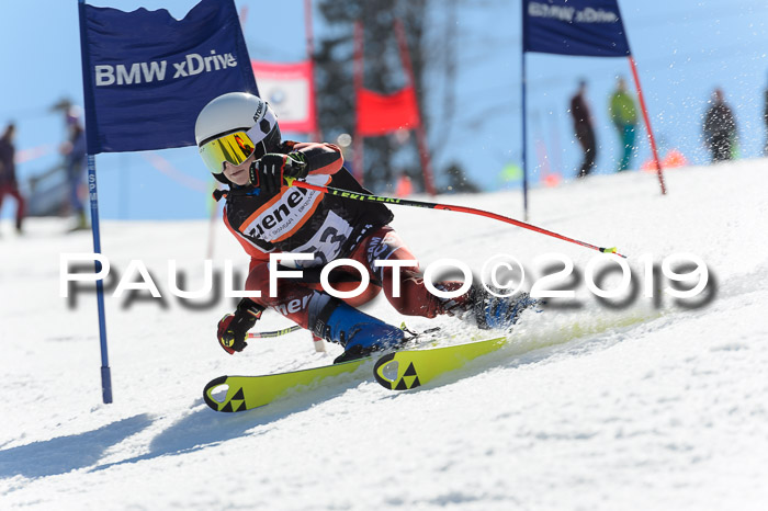 Ziener Cup WF,Finale, Quali + PSL, 30.03.2019