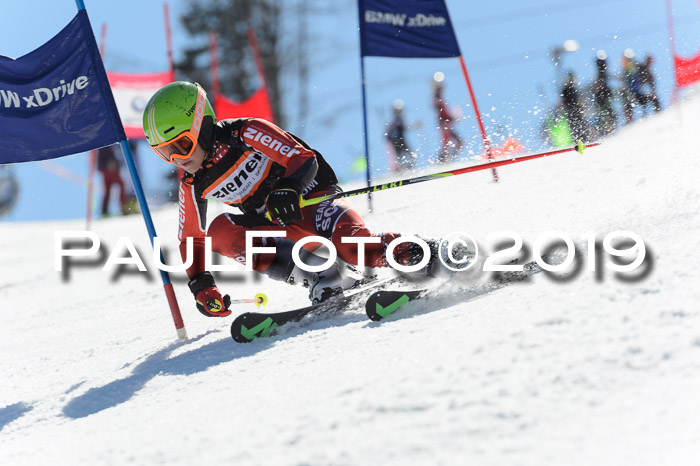 Ziener Cup WF,Finale, Quali + PSL, 30.03.2019