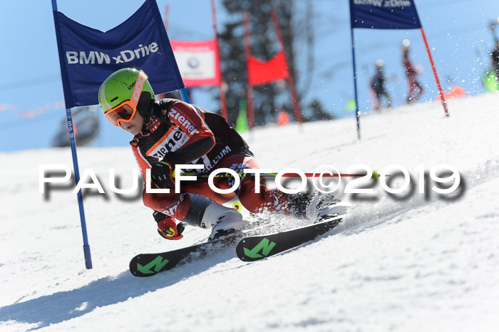 Ziener Cup WF,Finale, Quali + PSL, 30.03.2019
