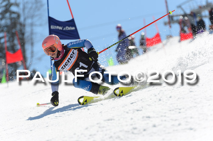 Ziener Cup WF,Finale, Quali + PSL, 30.03.2019