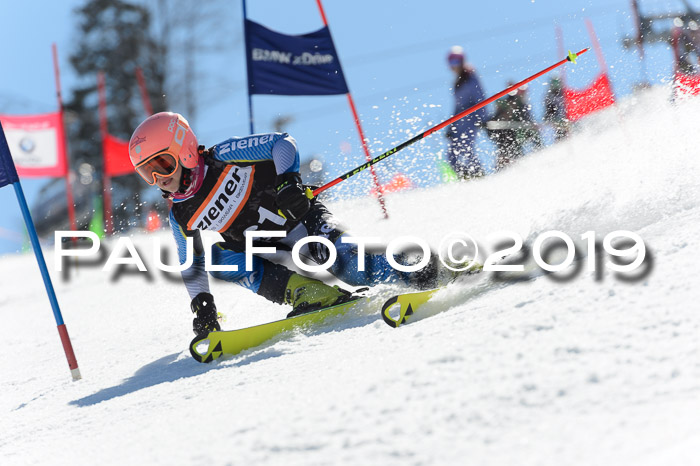 Ziener Cup WF,Finale, Quali + PSL, 30.03.2019