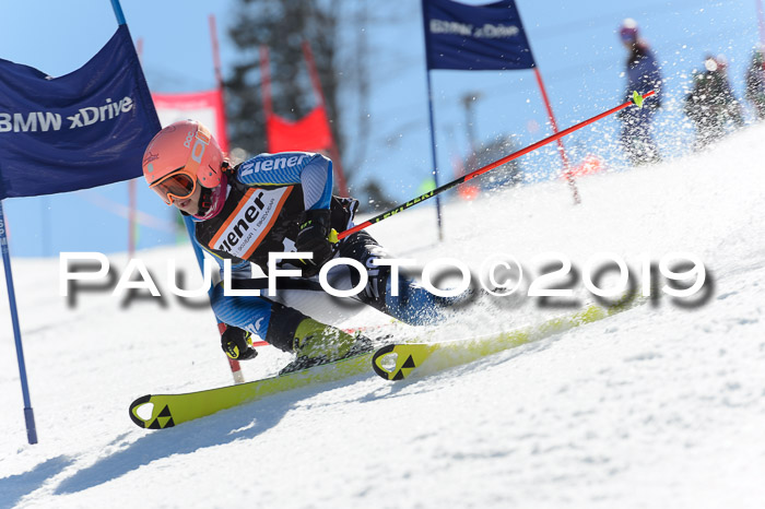 Ziener Cup WF,Finale, Quali + PSL, 30.03.2019