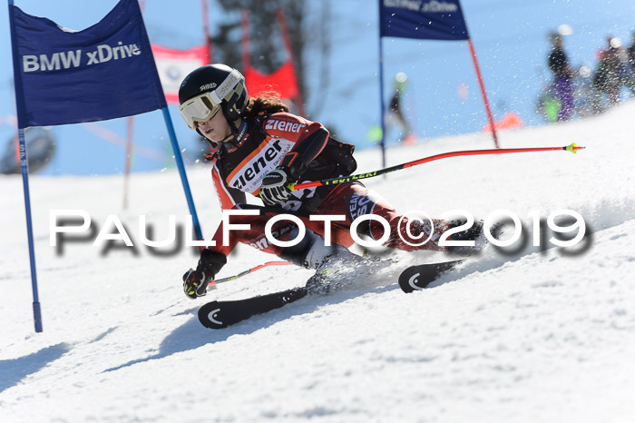 Ziener Cup WF,Finale, Quali + PSL, 30.03.2019