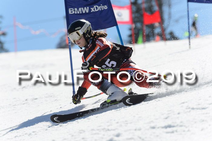 Ziener Cup WF,Finale, Quali + PSL, 30.03.2019