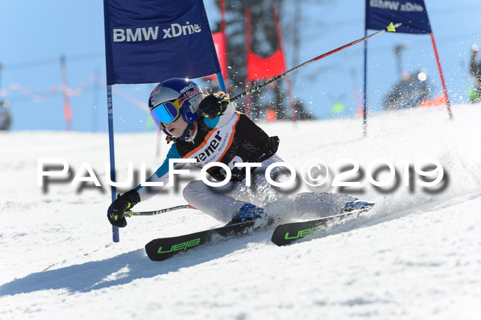 Ziener Cup WF,Finale, Quali + PSL, 30.03.2019