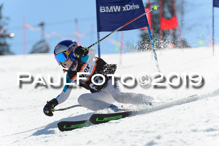 Ziener Cup WF,Finale, Quali + PSL, 30.03.2019