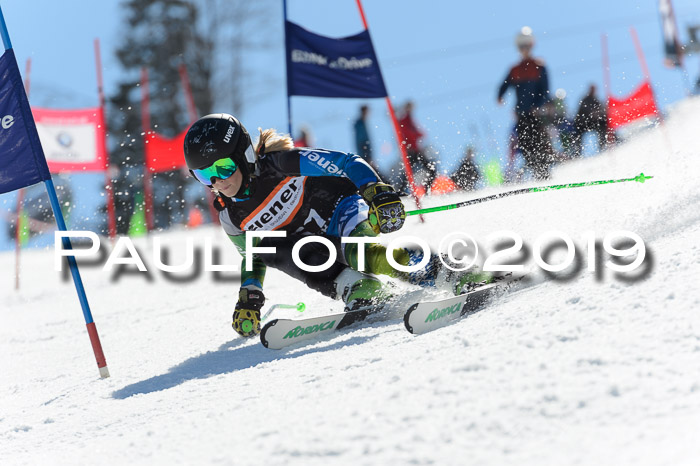 Ziener Cup WF,Finale, Quali + PSL, 30.03.2019