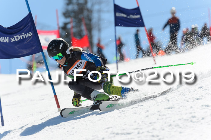 Ziener Cup WF,Finale, Quali + PSL, 30.03.2019