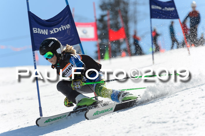 Ziener Cup WF,Finale, Quali + PSL, 30.03.2019