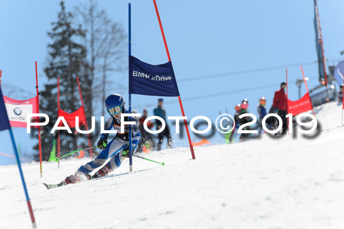 Ziener Cup WF,Finale, Quali + PSL, 30.03.2019
