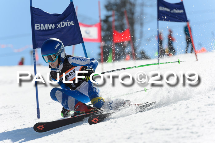 Ziener Cup WF,Finale, Quali + PSL, 30.03.2019