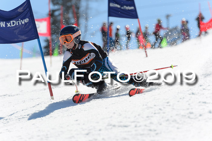 Ziener Cup WF,Finale, Quali + PSL, 30.03.2019