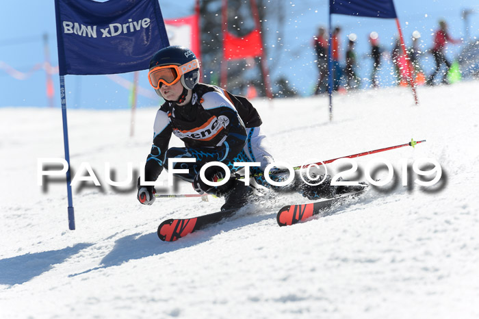 Ziener Cup WF,Finale, Quali + PSL, 30.03.2019