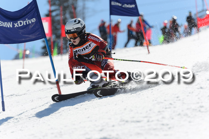 Ziener Cup WF,Finale, Quali + PSL, 30.03.2019