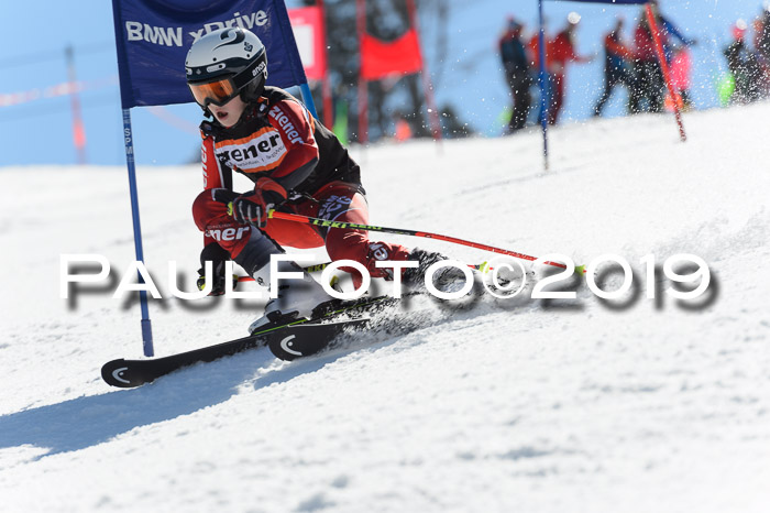 Ziener Cup WF,Finale, Quali + PSL, 30.03.2019