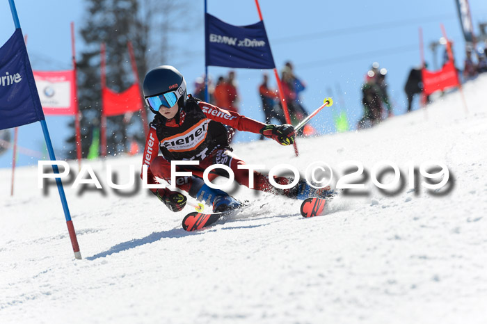 Ziener Cup WF,Finale, Quali + PSL, 30.03.2019
