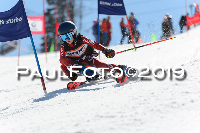 Ziener Cup WF,Finale, Quali + PSL, 30.03.2019