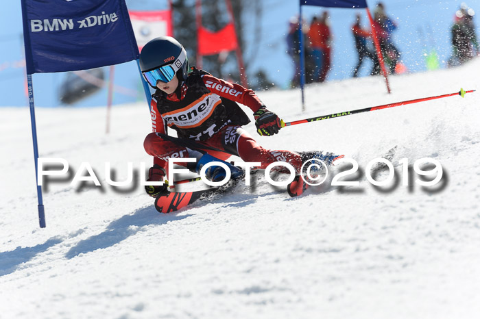 Ziener Cup WF,Finale, Quali + PSL, 30.03.2019