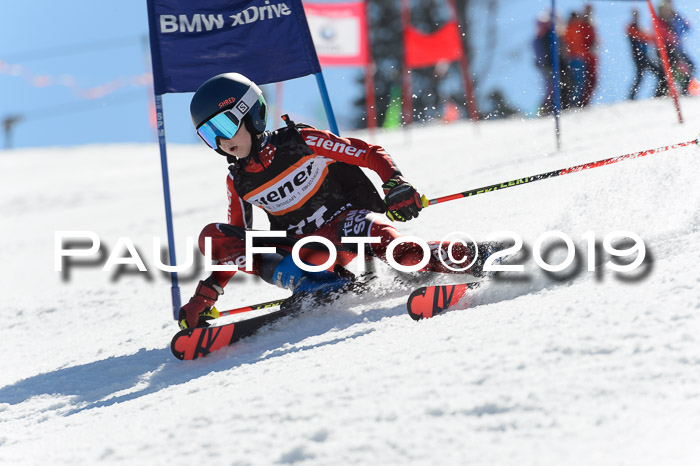 Ziener Cup WF,Finale, Quali + PSL, 30.03.2019
