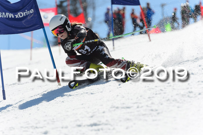 Ziener Cup WF,Finale, Quali + PSL, 30.03.2019