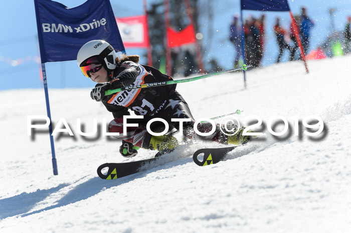 Ziener Cup WF,Finale, Quali + PSL, 30.03.2019