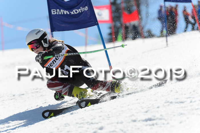 Ziener Cup WF,Finale, Quali + PSL, 30.03.2019